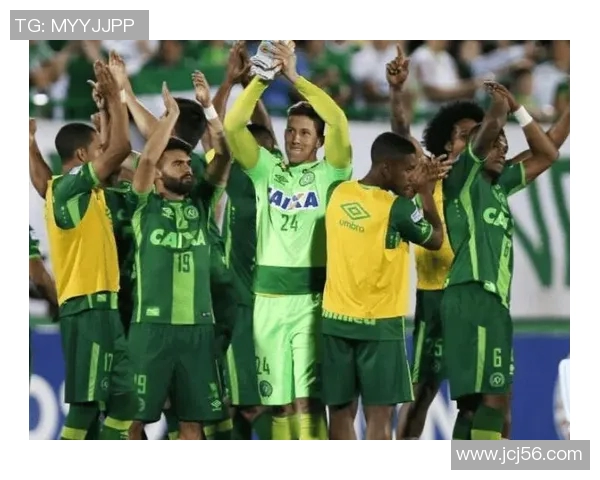 巴甲焦点战弗拉门戈迎战帕尔梅拉斯争夺联赛荣耀与积分榜优势